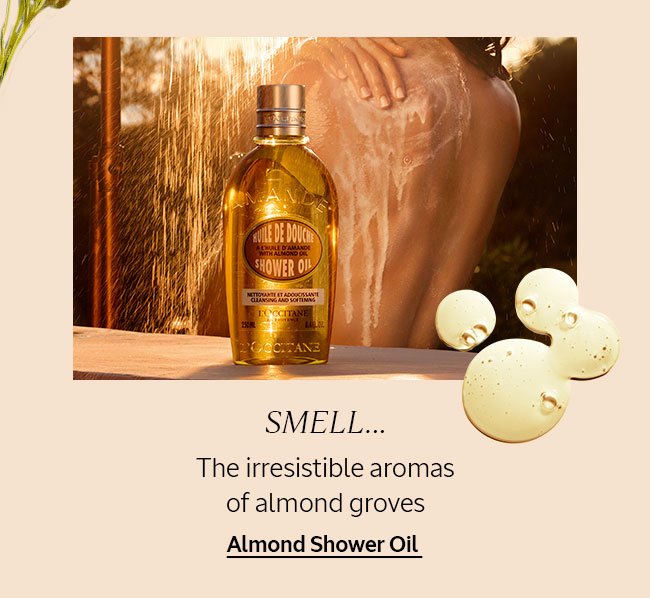 ALMOND SHOWER OIL | SMELL...THE IRRESISTIBLE AROMAS OF ALMOND GROVES