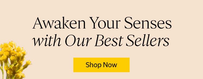 AWAKEN YOUR SENSES WITH OUR BEST SELLERS | SHOP NOW