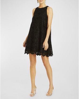 Luli Lace Trapeze Mini Dress