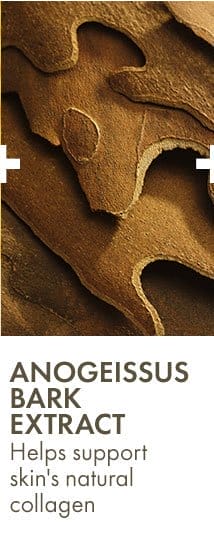 Anogeissus Bark Extract | Helps support skin's natural collagen