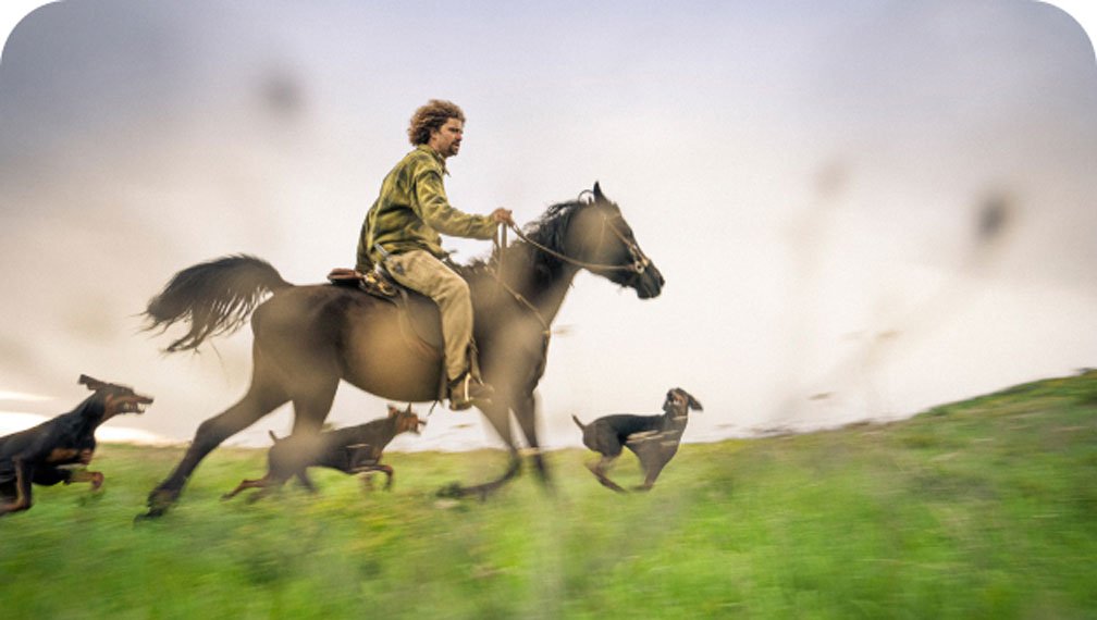  A person riding a horse through a field with dogs. 