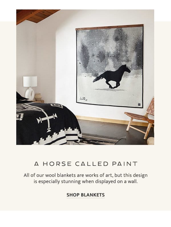 A Horse Called Paint - Shop Blankets