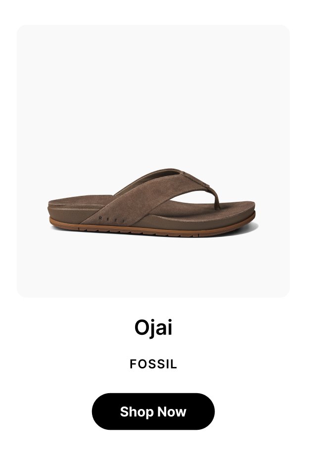 Ojai FOSSIL Shop now