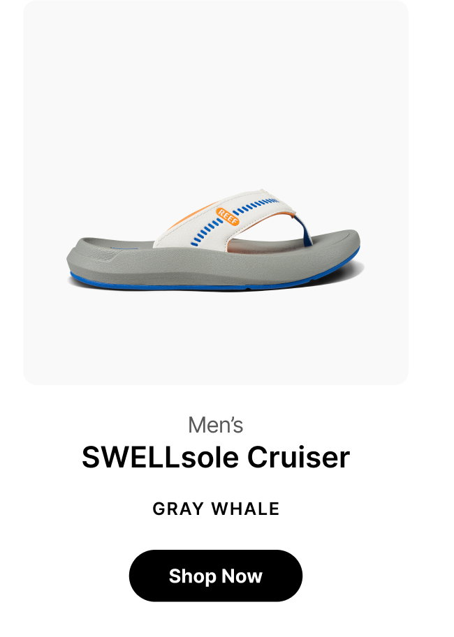 Gray Whale