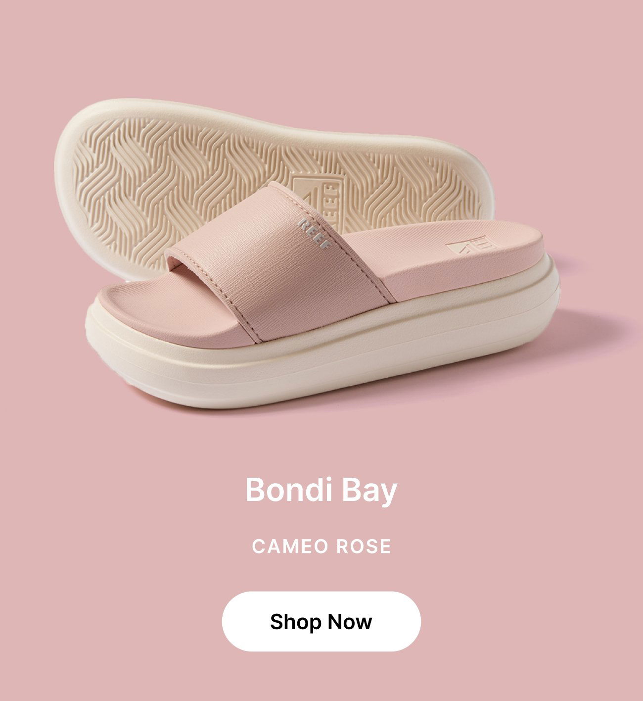 EEF REEF Bondi Bay CAMEO ROSE Shop Now