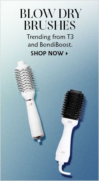 Blow Dry Brushes