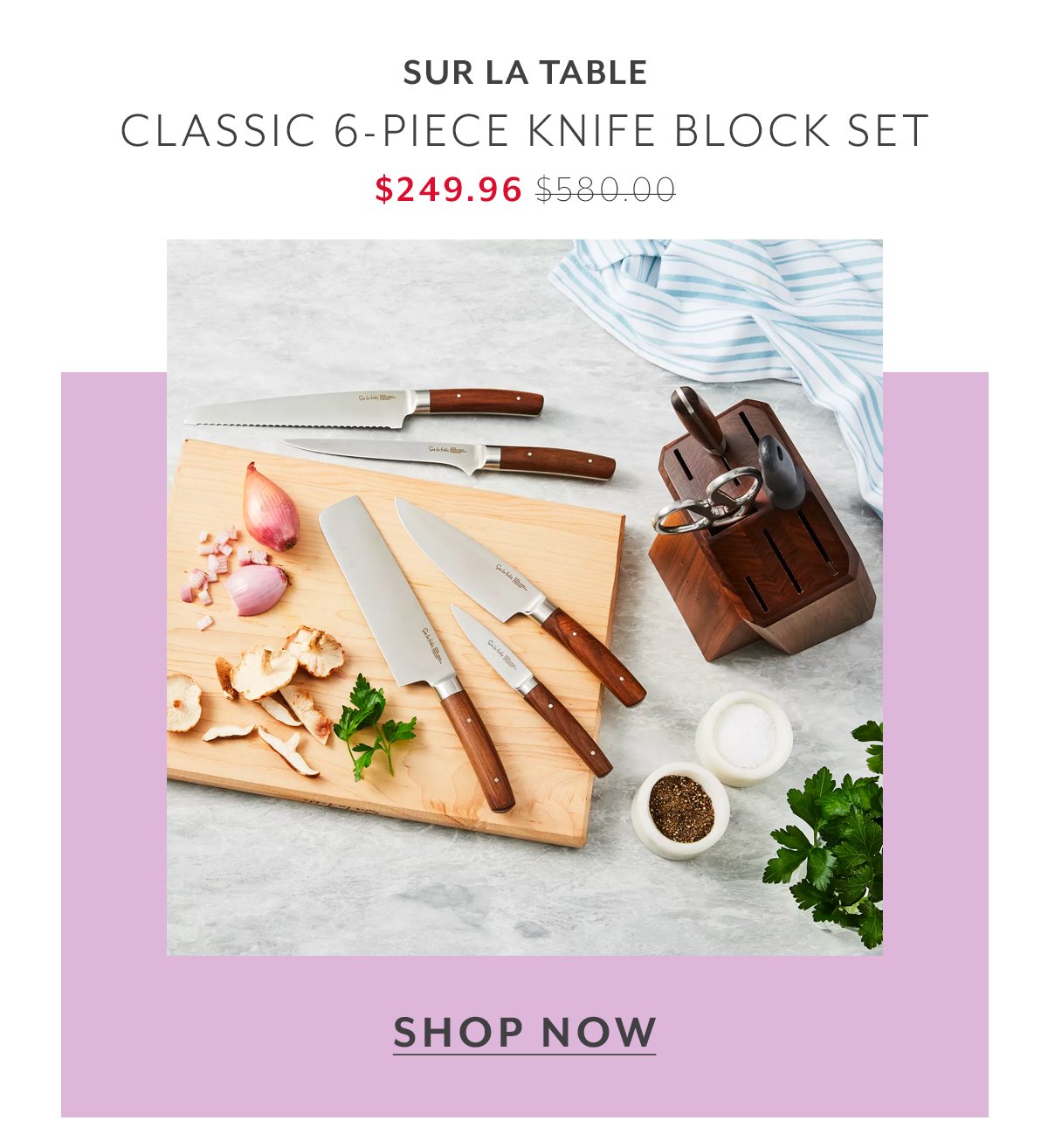 Sur La Table Classic 6-Piece Knife Block Set