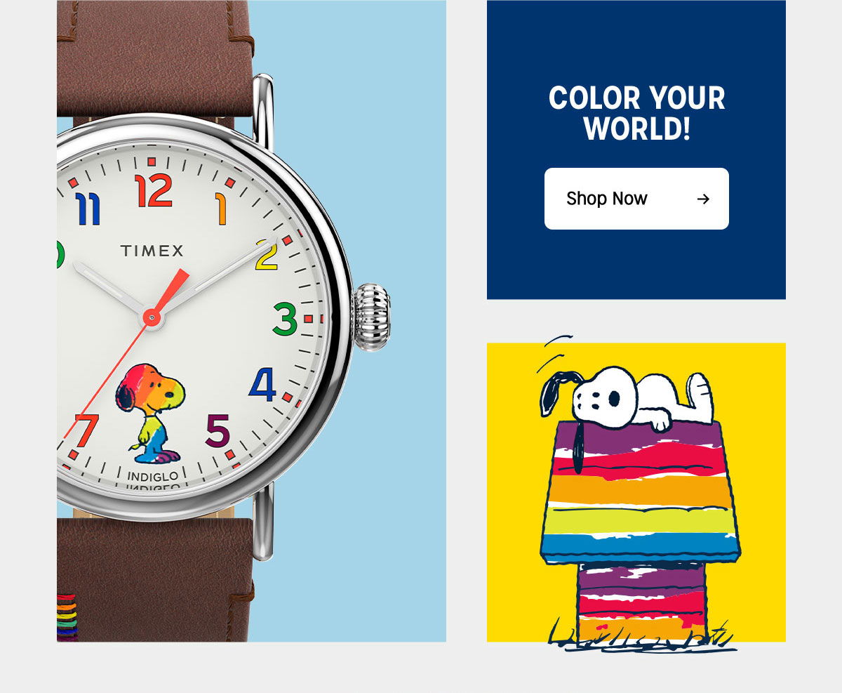 COLOR YOUR WORLD | Shop Now