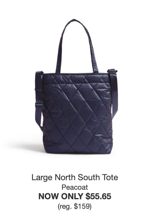 Shop Large North South Tote