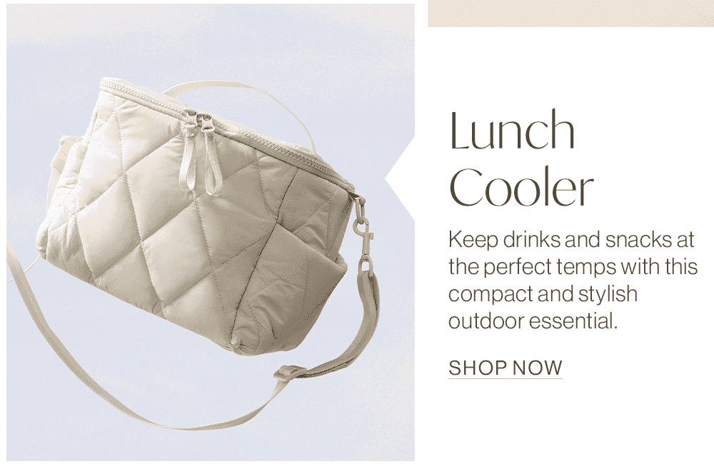 Shop the Lunch Cooler