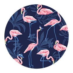 Shop Flamingo Party