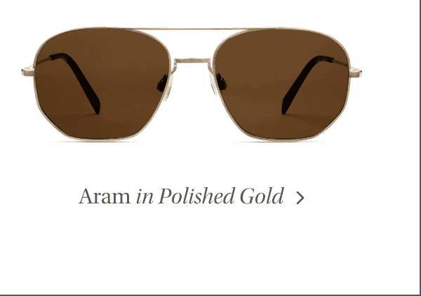 Aram in Polished Gold