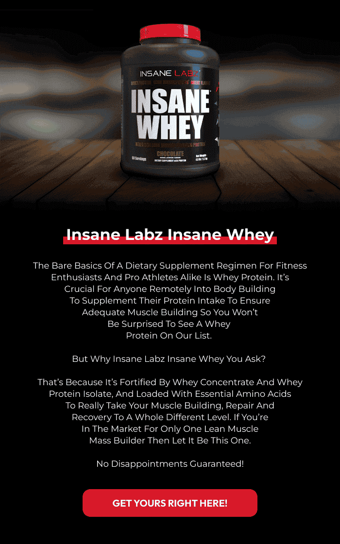 INSANE LABZ INSANE WHEY