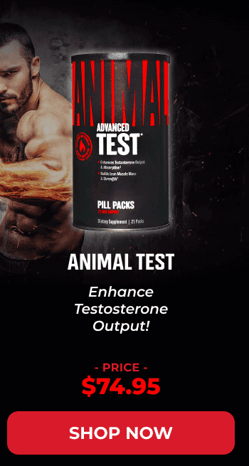 ANIMAL TEST