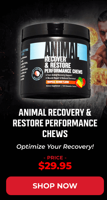 ANIMAL RECOVERY & RESTORE PERFORMANCE CHEWS