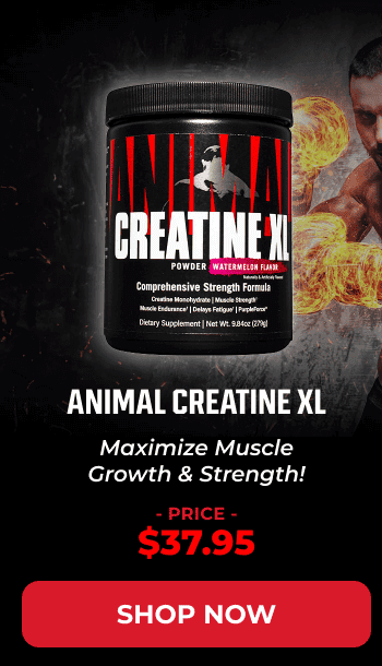 ANIMAL CREATINE XL