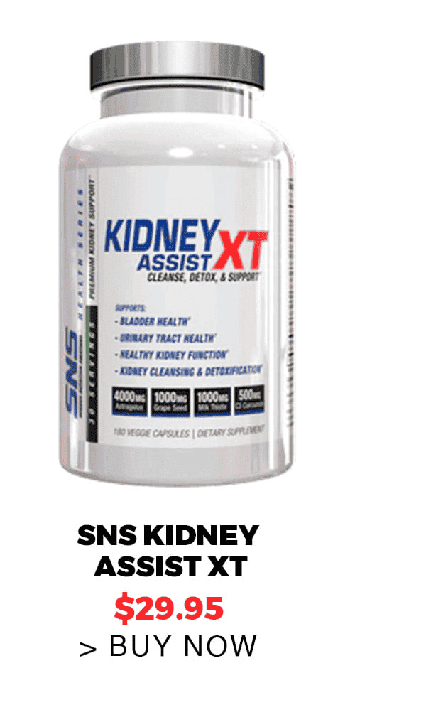 SNS Kidney Assist XT