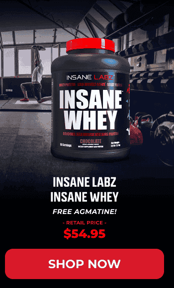 INSANE LABZ INSANE WHEY