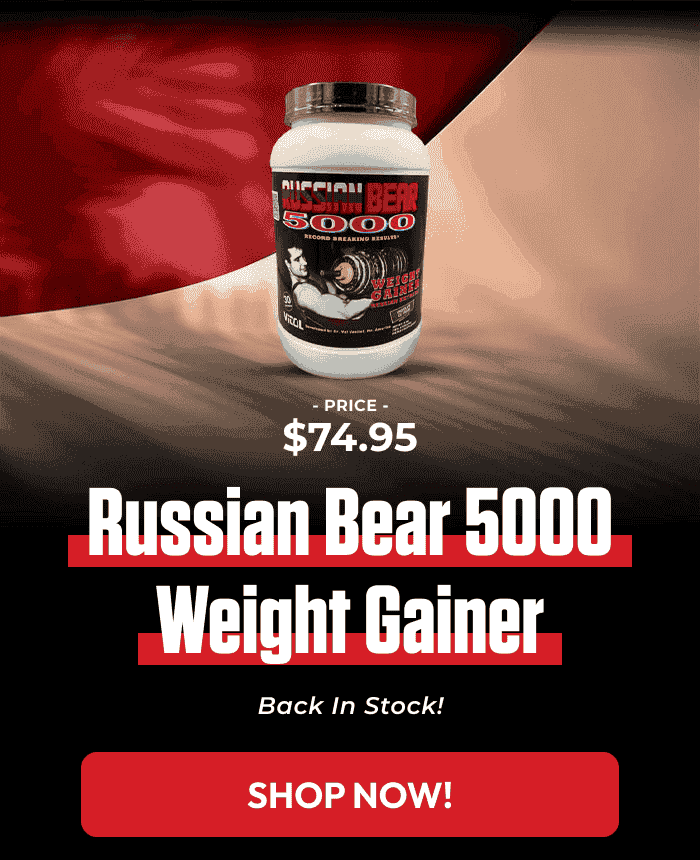 RUSSIAN BEAR 5000 WEIGHT GAINER