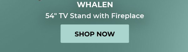 WHALEN 54" TV Stand with Fireplace