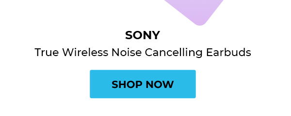 SONY True Wireless Noise Cancelling Earbuds