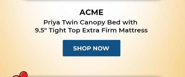 ACME Priya Twin Canopy Bed with 9.5" Tight Top Extra Firm Mattress