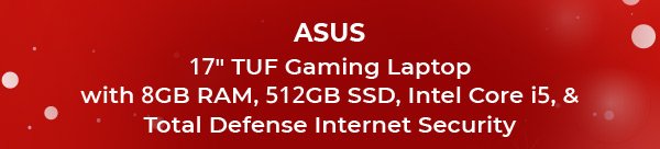 ASUS 17" TUF Gaming Laptop with 8GB RAM, 512GB SSD, Intel Core i5, and Total Defense Internet Security