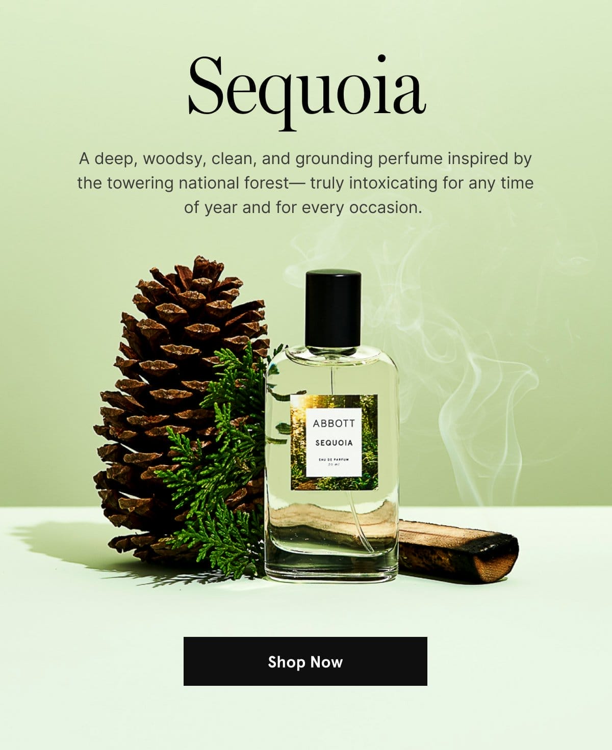 Shop Sequoia