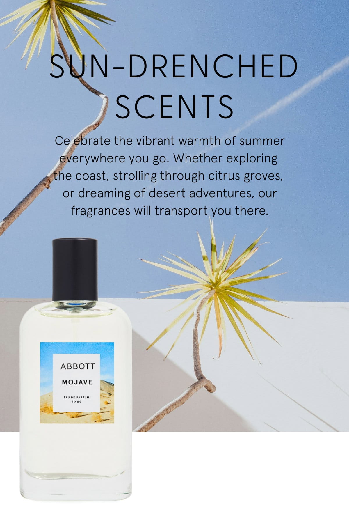 Summer Fragrances | Shop Mojave 