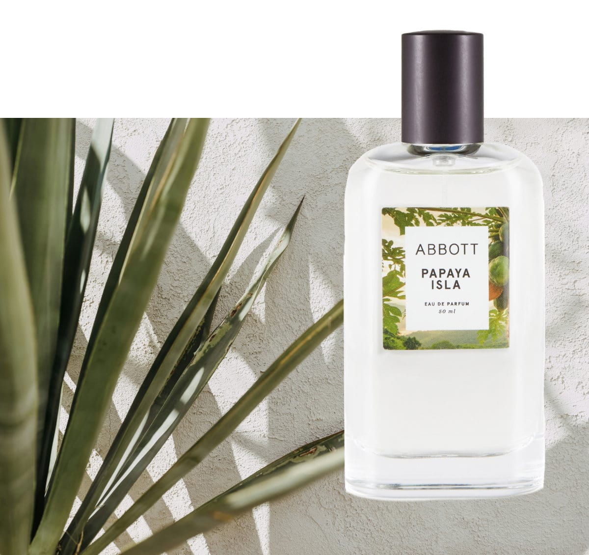 Shop Summer Fragrances | Papaya Isla 