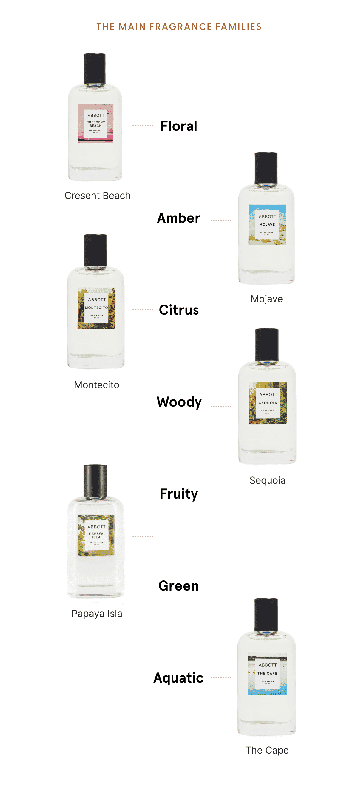 The Main Fragrance Families