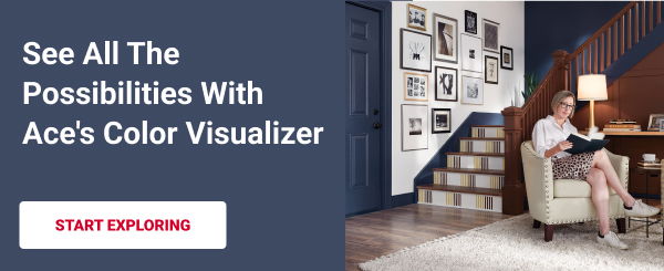 See All the Possibilities with Ace's Color Visualizer START EXPLORING