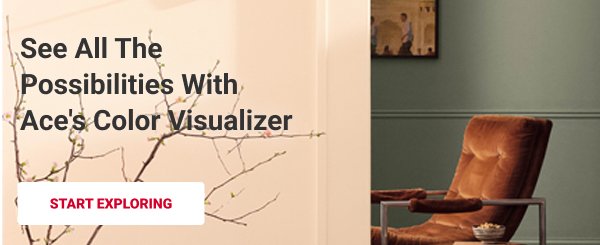 See All The Possibilities With Ace's Color Visualizer START EXPLORING