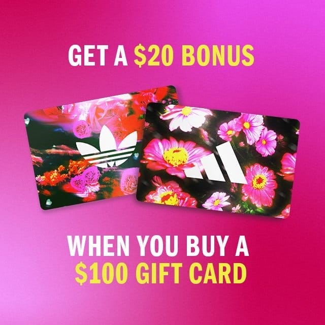 Get a \\$20 bonus when you buy a \\$100 gift card
