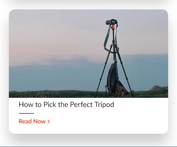 42 West How to Pick the Perfect Tripod