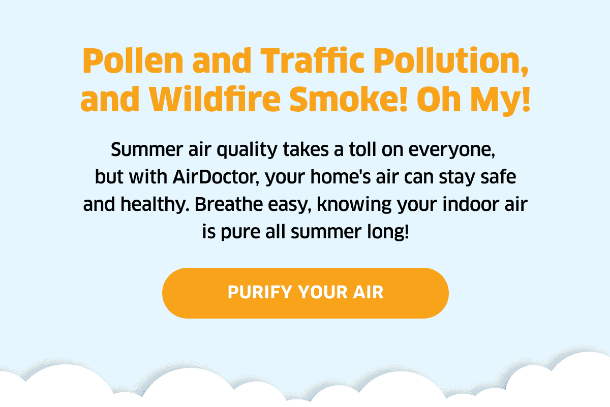 Pollen And Traffic Pollution, And Wildfire Smoke! Oh My! | Purify Your Air