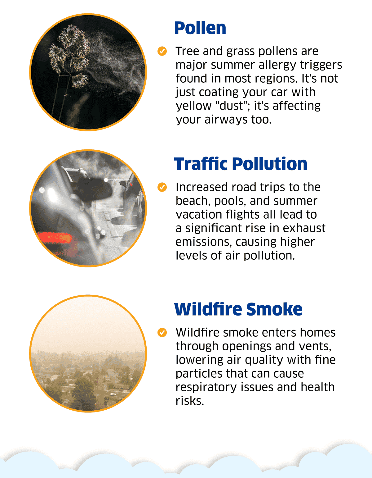 Pollen | Traffic Pollution | Wildfire Smoke