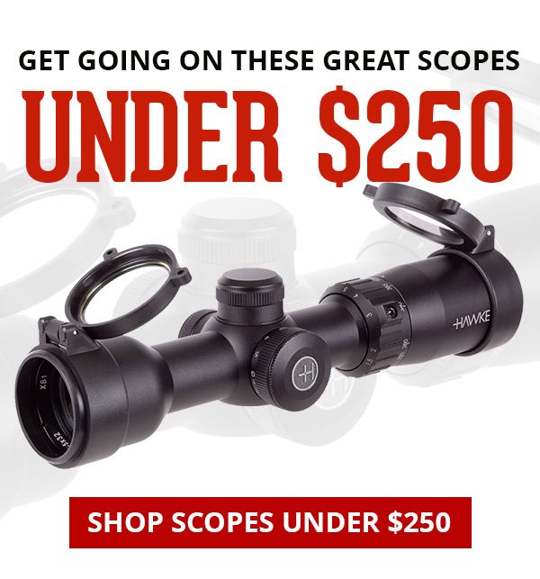 SHOP SCOPES UNDER \\$250