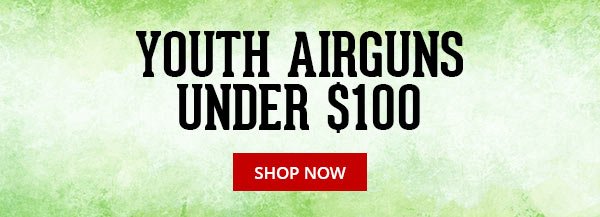 YOUTH AIRGUNS UNDER \\$100