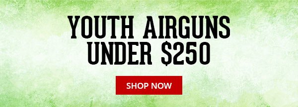 YOUTH AIRGUNS UNDER \\$250