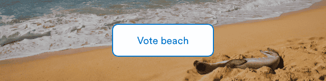 Vote beach