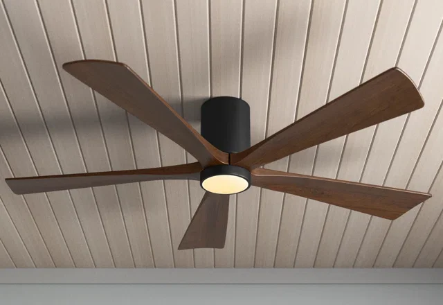 Indoor/Outdoor Ceiling Fans