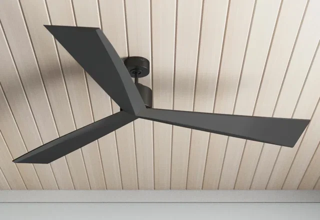 Indoor/Outdoor Ceiling Fans