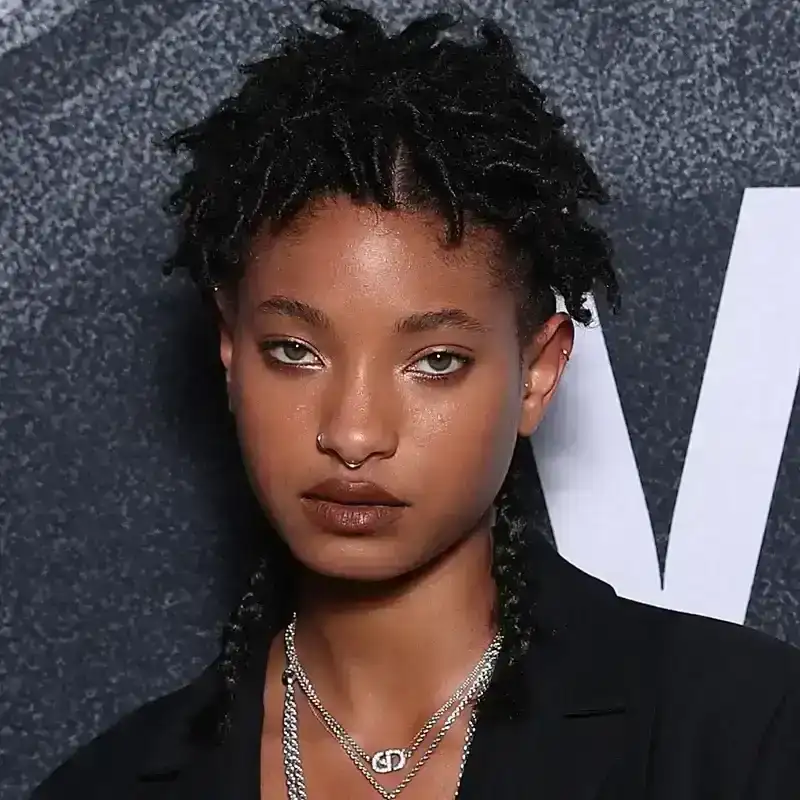 Willow Smith's Braids Are So Long, They Don't Even Fit in Her Latest Selfie