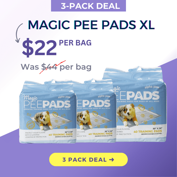 Pee Pads XL