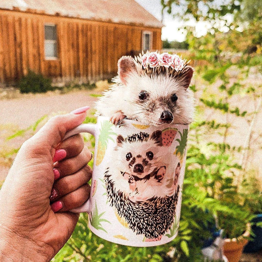 Image of Custom Pet Coffee Mug