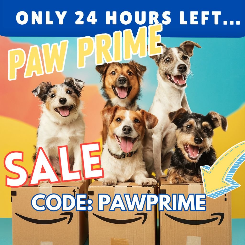 Paw Prime Day Sale