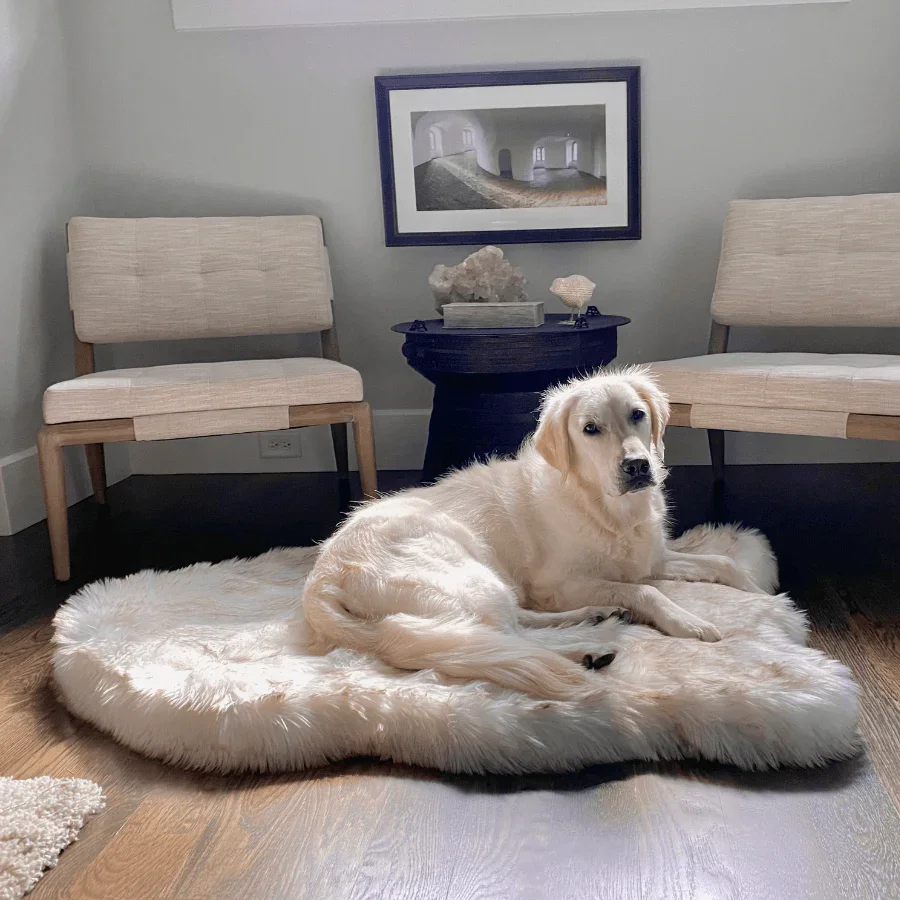 Image of NEW! PupRug™ Orthopedic Dog Bed