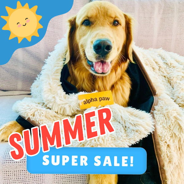 Summer Blanket Super Sale Dog