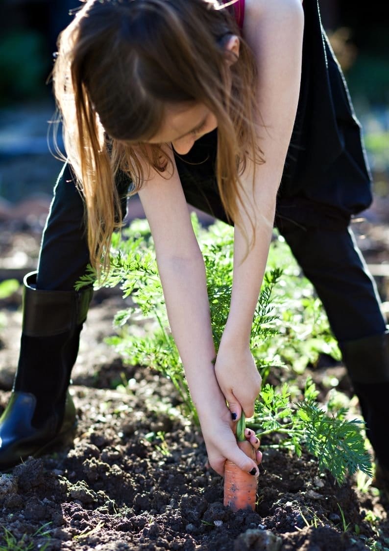 Girl with carrots